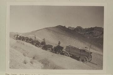 Bull teams bringing lumber to Lees Ferry--near Cedar Ridge Tanks.  Between Tuba and the Ferry.  Ten miles a day was about average with green cattle