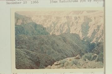 Ridge between Salt and Epsom Creeks