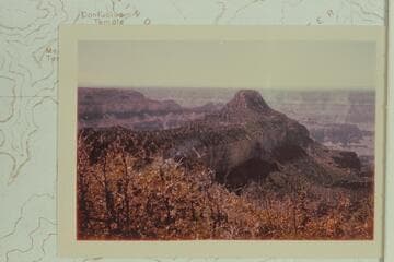 Dragon Head from The Dragon