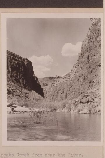 View up Tapeats Creek from near the river