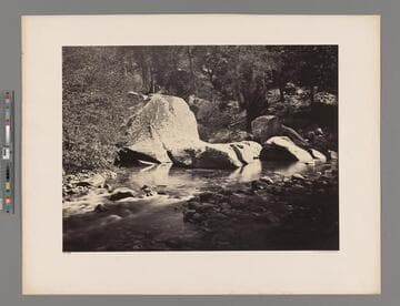 [River View, Yosemite]