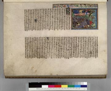 De casibus vivorum illustrium in French : [manuscript]