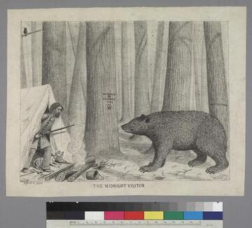 The Midnight Visitor