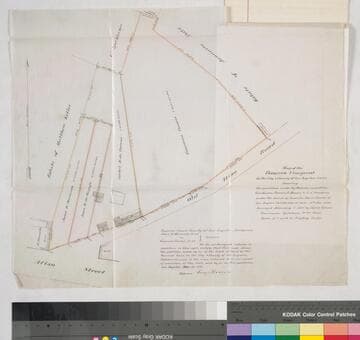 Map of the Ramirez Vineyard.; showing the partition made