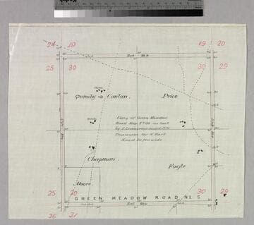 Green Meadow Road Map No. 66