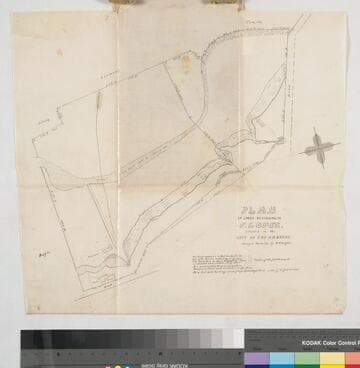 Lopez Tract - Plan of lands belonging to F.Lopez., same as #2