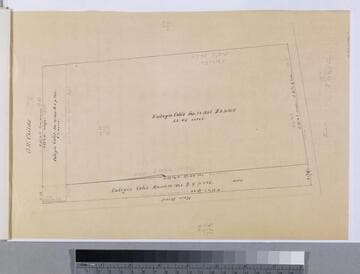 Celis Vineyard Tract - Celis parcels