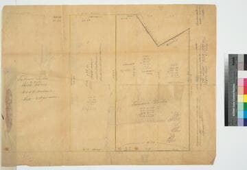 Rancho La Sierra (Yorba); S43 - Trinidad Yorba & Ynez Yorba de Cota hill land