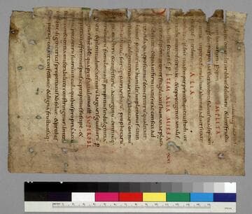 Fragment from a Sacramentary : [manuscript]