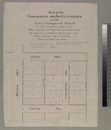 Consuelo subdivision of the Celis Vineyard Tract