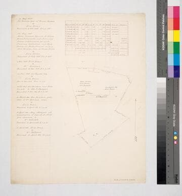 Los Angeles : William Wolfskill parcel