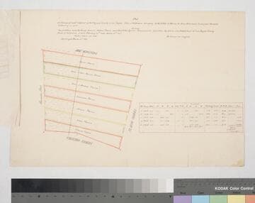Plat of a Vineyard and orchard
