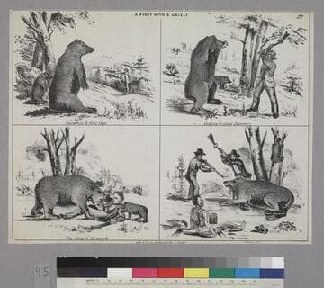 A Fight with a Grizly [sic]