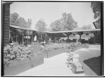 Assignments for Ellen Sheridan: Nursery school