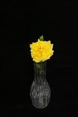 Go to image 2.