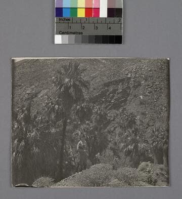 Grace Burke Hubble standing in Palm Canyon, Palm Springs, California