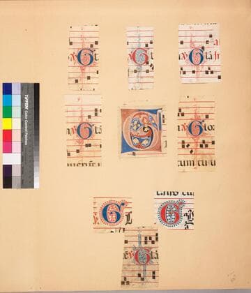 Decorated initials, cuttings : [manuscript]