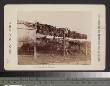 21. Frames for drying fish