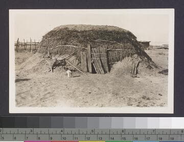 Arizona native dwelling