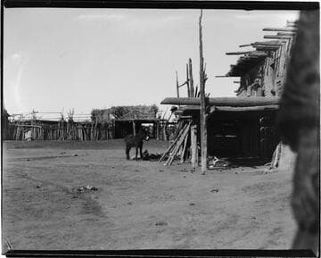 Tesuque, donkey outside dwelling