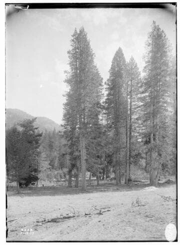 Big Creek Scenery