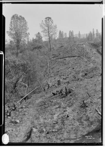 Big Creek, Miscellaneous - Blight accident