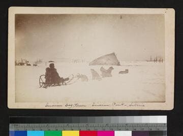 Indian dog team -- Indian Point -- Siberia