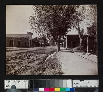 A road in a town, showing storefronts