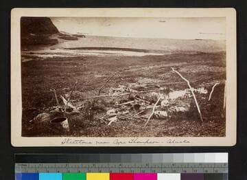 Skeletons near Cape Thompson -- Alaska