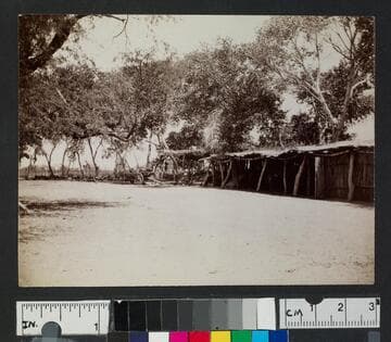 Wood and brush structure in unidentified pueblo or settlement