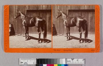 "Sir Guy." "Sunny Slope"