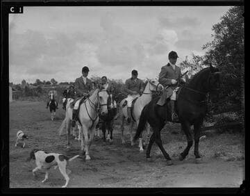 Fox hunt at the Riviera Country Club, Santa Monica Canyon