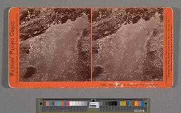 Sea Aquarium, Farallone Islands, Pacific Ocean