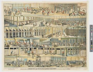 Interior views of a modern first class pork packaging & canning establishment of the United States of America