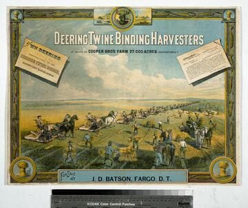 Deering twine binding harvesters at work on Cooper Bro's farm 27.000 acres. Cooperstown, D. T