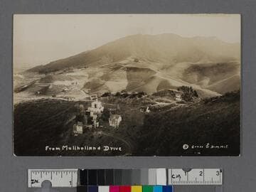 From Mulholland Drive