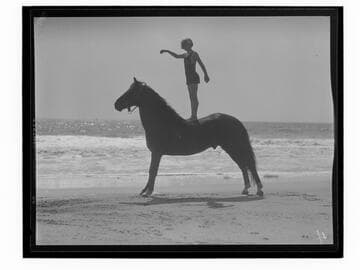 Girl standing on a horse on the beach, Santa Monica