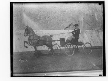 Horse-pulled carriage with rider