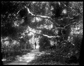 Henry E. Huntington on a path