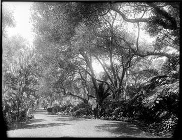 Henry E. Huntington on a path