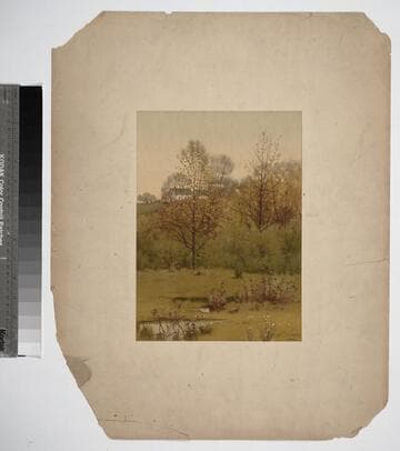 [View of meadow with house in background]