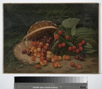 Cherries and basket