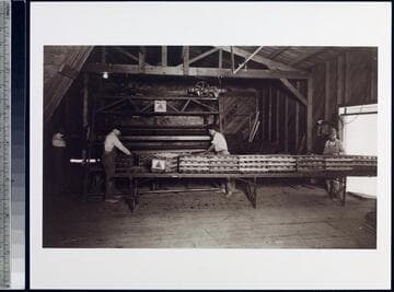 Imperial Valley Growers