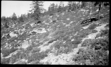 Big Creek, Fish Valley - Fish Creek Project