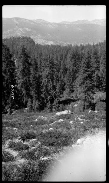 Big Creek, Fish Valley - Fish Creek Project