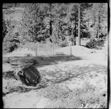 Big Creek, Florence Lake Dam