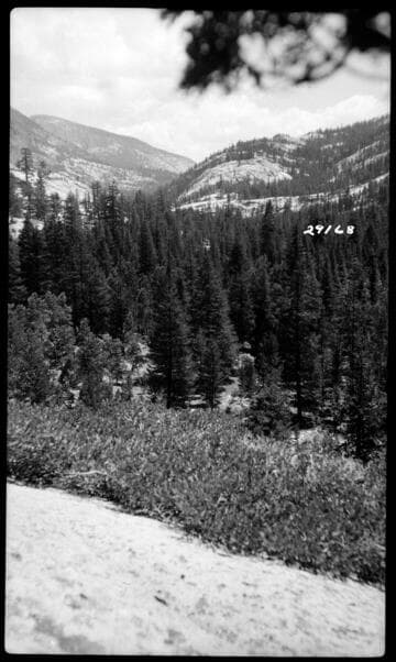 Big Creek, Fish Valley - Fish Creek Project