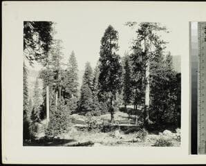 Go to image 17.