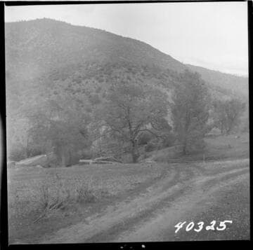Big Creek Powerhouse #3 - View of original ground, housing site.  Camera at P.O.T. #3 looking toward sites 5