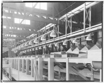 L1.8 - Lighting, Packing Plants